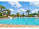 Community pool with a slide, palm trees, lounge chairs, and a splash pad at 19418 Butterwood Ln, Lutz, FL 33558