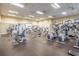 Well-equipped fitness center featuring modern exercise machines and equipment at 21284 Southern Charm Dr, Land O Lakes, FL 34637