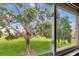 A beautiful view of a lush yard and blue sky through a window at 2253 Norwegian Dr # 27, Clearwater, FL 33763