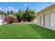 View of the lush green backyard with mature bamboo and flowering bushes offering backyard privacy from neighbors at 2728 Abbey Grove Dr, Valrico, FL 33594