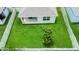 Expansive backyard with lush green grass, fully fenced and a mature tree at 3762 Mossy Limb Ct, Palmetto, FL 34221