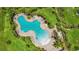 Aerial view of resort-style pool surrounded by palm trees and lounge chairs at 3762 Mossy Limb Ct, Palmetto, FL 34221