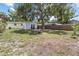 Expansive backyard with a detached structure and outdoor seating area underneath a large shade tree at 6453 5Th N Ave, St Petersburg, FL 33710