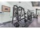 A well-equipped gym with weightlifting machines, mirrors, and ample space for effective strength training at 7244 Wild Oak Ln, Land O Lakes, FL 34637