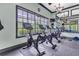 Bright cycling area in a gym featuring stationary bikes, large windows, and a mirrored wall at 7244 Wild Oak Ln, Land O Lakes, FL 34637