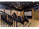 A tiered home theater with comfortable seating, projector, and Western-themed décor at 7244 Wild Oak Ln, Land O Lakes, FL 34637