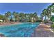 Community swimming pool with clear, inviting water, surrounded by palm trees and lounge chairs at 7244 Wild Oak Ln, Land O Lakes, FL 34637