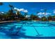 A sunny pool with bright blue water, surrounded by palm trees and lounge chairs for relaxation at 7244 Wild Oak Ln, Land O Lakes, FL 34637