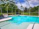 Enjoy this screened in pool with attached spa for relaxing in your backyard oasis at 7244 Wild Oak Ln, Land O Lakes, FL 34637