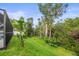 Spacious backyard includes mature trees and plants, offering a private outdoor space at 826 Addison Ne Dr, St Petersburg, FL 33716