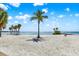 Scenic beach view with palm trees, clear blue skies, and tranquil water at 1200 N Shore Ne Dr # 404, St Petersburg, FL 33701