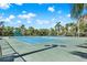 Well-maintained tennis courts surrounded by lush palm trees and greenery at 1200 N Shore Ne Dr # 404, St Petersburg, FL 33701