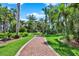 Scenic brick walking path through a lush, green landscape with various palm trees and plants at 1200 N Shore Ne Dr # 404, St Petersburg, FL 33701