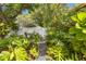 Backyard gravel path leading to privacy fence surrounded by mature, lush greenery at 1226 E Henry Ave, Tampa, FL 33604