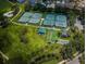 Aerial view showcasing multiple tennis courts, bocce ball courts, and shuffleboard courts nestled in a lush green landscape at 1338 Winding Willow Dr, Trinity, FL 34655