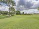 Spacious green lawn with mature trees, providing a serene and picturesque setting at 1338 Winding Willow Dr, Trinity, FL 34655