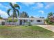 Charming single-story home featuring a well-maintained lawn, palm trees, and a covered entryway at 1420 Temple St, Clearwater, FL 33756