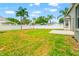 Landscaped backyard with lush green grass, palm trees, and a white fence, offering privacy and space for outdoor activities at 17342 Lawn Orchid Loop, Land O Lakes, FL 34638