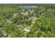 Aerial view of a house surrounded by lush trees and a waterway, showing the expansive landscape at 18202 Abbey Ln, Lutz, FL 33548