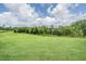 Lush green backyard featuring mature trees, a serene pond, and ample space for outdoor activities at 3197 Acacia Bay Ave, Wesley Chapel, FL 33543