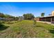 Expansive backyard area with a small tree at 43 Edgewater Dr, Dunedin, FL 34698