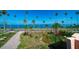 Stunning waterfront views lined with palm trees, creating a picturesque tropical setting at 43 Edgewater Dr, Dunedin, FL 34698