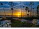 Beautiful waterfront sunset view with colorful flowers in the foreground at 43 Edgewater Dr, Dunedin, FL 34698