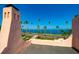 Beautiful water views from the building's roof, showcasing palm trees and a serene horizon at 43 Edgewater Dr, Dunedin, FL 34698