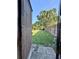 Fenced backyard with a grassy area and mature trees offering privacy and shade at 4901 Taylor N St, St Petersburg, FL 33714