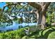 Relaxing backyard featuring a swing under a large tree, overlooking a peaceful lake at 6561 Exeter Ct, Seminole, FL 33772