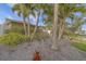 Landscaped front yard featuring palms, decorative rock, and colorful foliage in a cozy residential neighborhood at 735 123Rd Ave, Treasure Island, FL 33706