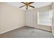 Bedroom features carpet floors, a ceiling fan, a closet, and a window for natural light at 7821 Niagara Ave # 2102, Tampa, FL 33617