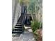 Exterior view of property entrance with tropical landscaping at 7821 Niagara Ave # 2102, Tampa, FL 33617