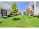Townhome backyards facing communal grassy area and mature shade trees at 803 Oak Bend Ln, Dunedin, FL 34698