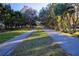 A straight, tree-lined driveway leads to a serene property, framed by lush greenery and mature trees at 803 Oak Bend Ln, Dunedin, FL 34698