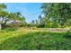 Lush backyard with mature trees, plants and grass creates a private and serene outdoor space at 10125 Cherry Creek Ln, Port Richey, FL 34668