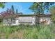 Residential building overgrown with weeds and showing visible signs of neglect at 10125 Cherry Creek Ln, Port Richey, FL 34668