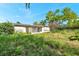 View of the backyard featuring overgrown grass and a residential structure at 10125 Cherry Creek Ln, Port Richey, FL 34668