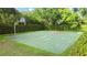 Community basketball court with green surface surrounded by lush landscaping and trees at 1313 Oxbridge Dr, Lutz, FL 33549