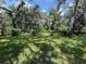 Manicured backyard featuring a lush green lawn and privacy hedging with trees and shade at 15024 Eaglepark Pl, Lithia, FL 33547
