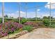 Close up of colorful landscaping featuring various plants, rock features, and a serene view of the pond beyond at 17921 Arbor Haven Dr, Tampa, FL 33647