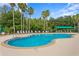 Inviting community pool surrounded by lush landscaping and comfortable lounge chairs at 17921 Arbor Haven Dr, Tampa, FL 33647