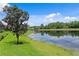 Calm water view with trees and the reflection of the blue sky with some clouds at 17921 Arbor Haven Dr, Tampa, FL 33647