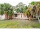 Charming single-story home with peach exterior, lush palm trees, and a well-manicured front lawn at 1808 Elmwood Dr, Oldsmar, FL 34677