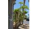 A photo of an outdoor shower by a green leafy tree, showcasing the home's convenience after beach visits at 19451 Gulf Blvd # 205, Indian Shores, FL 33785