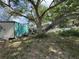 Spacious backyard featuring mature trees, shed, and ample room for outdoor activities at 2175 20Th Sw Ave, Largo, FL 33774