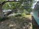 Lush backyard featuring mature trees, with a view of the house and greenery providing a private retreat at 2175 20Th Sw Ave, Largo, FL 33774