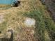 Ground-level shot of yard and storm drain with dry grass at 2175 20Th Sw Ave, Largo, FL 33774