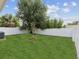 Spacious backyard with lush green grass, mature trees, and a pristine white fence at 2809 N 21St St, Tampa, FL 33605