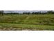 A large field showing the natural landscape at 3062 Victoria Inlet Dr, Holiday, FL 34691